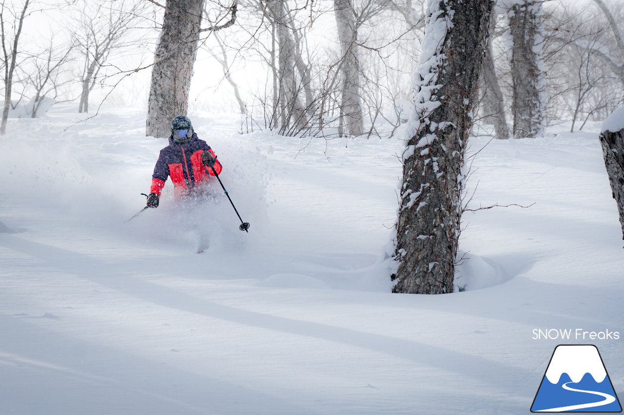 ニセコ東急グラン・ヒラフ｜積雪400cm！ニセコの『PowderSnow』を味わい尽くす、贅沢な時間♪